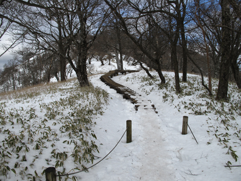 20170118hike (306)